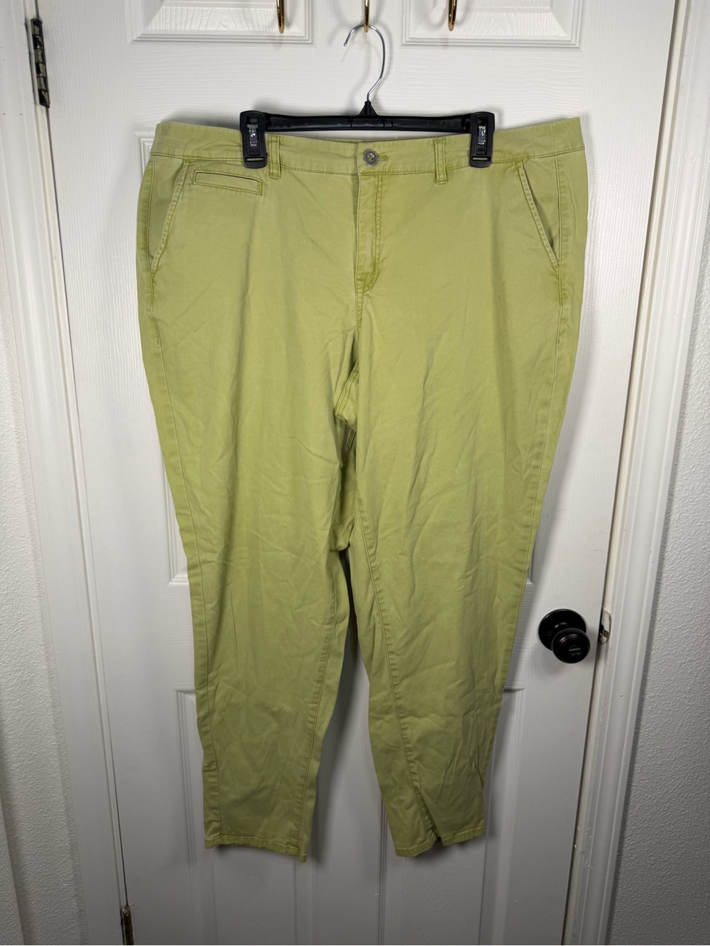 Lane Bryant Light Olive Chino Pants
